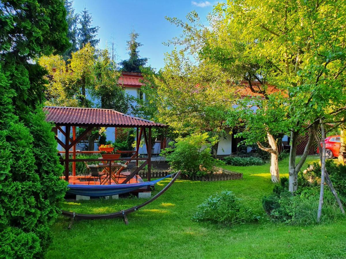 Pension Agnes Vişeu de Sus Exterior foto