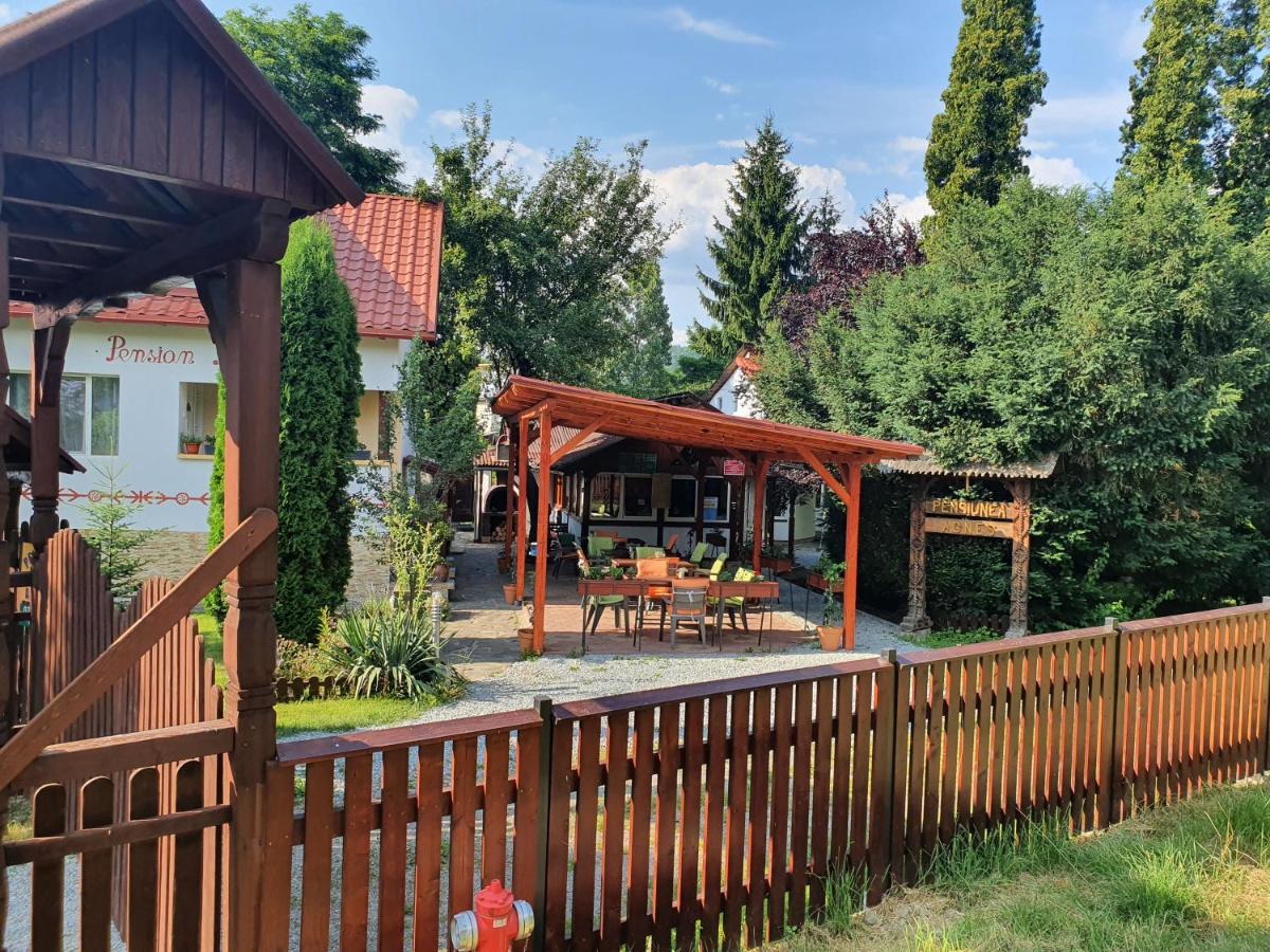 Pension Agnes Vişeu de Sus Exterior foto