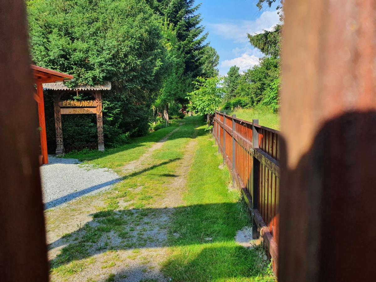 Pension Agnes Vişeu de Sus Exterior foto
