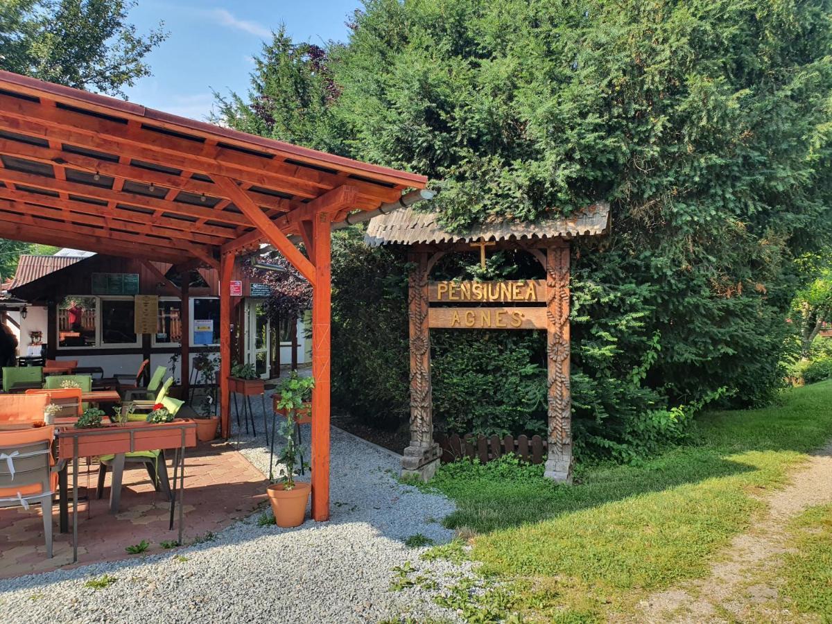 Pension Agnes Vişeu de Sus Exterior foto