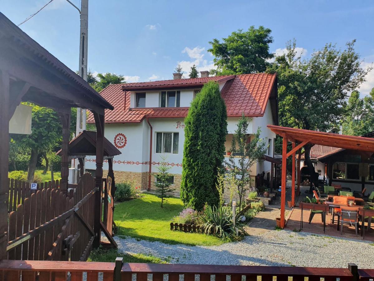 Pension Agnes Vişeu de Sus Exterior foto