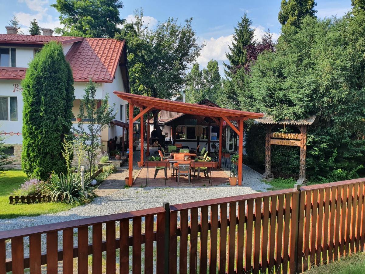 Pension Agnes Vişeu de Sus Exterior foto