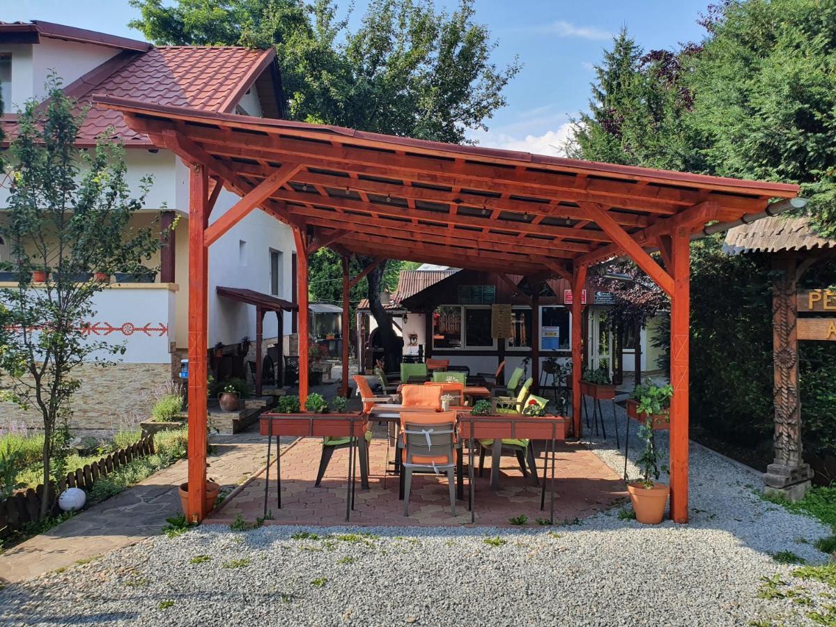 Pension Agnes Vişeu de Sus Exterior foto