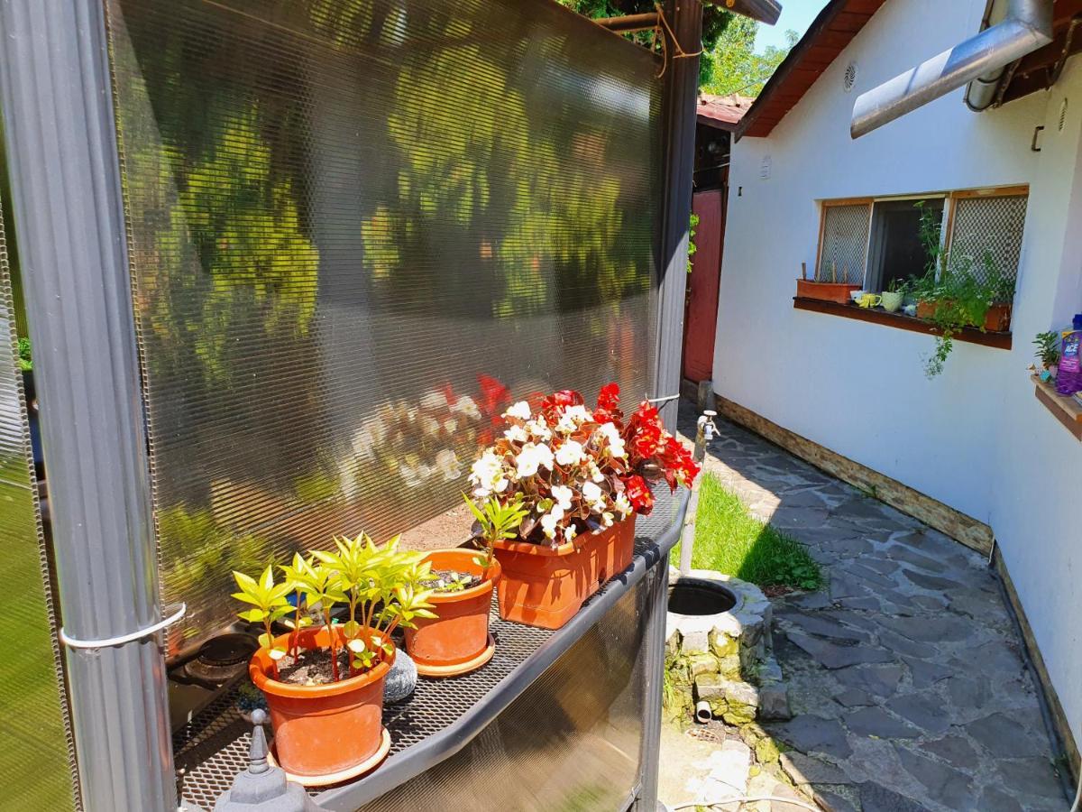 Pension Agnes Vişeu de Sus Exterior foto