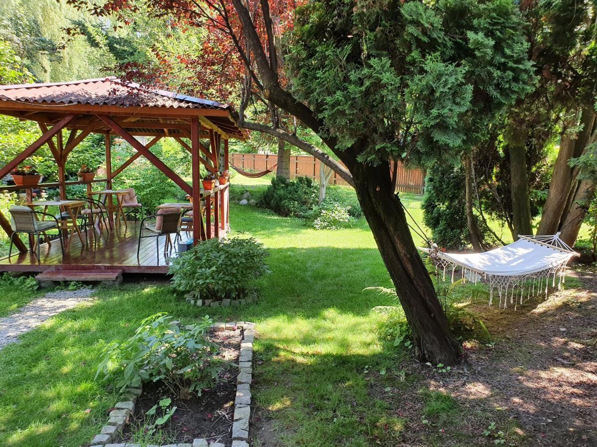 Pension Agnes Vişeu de Sus Exterior foto