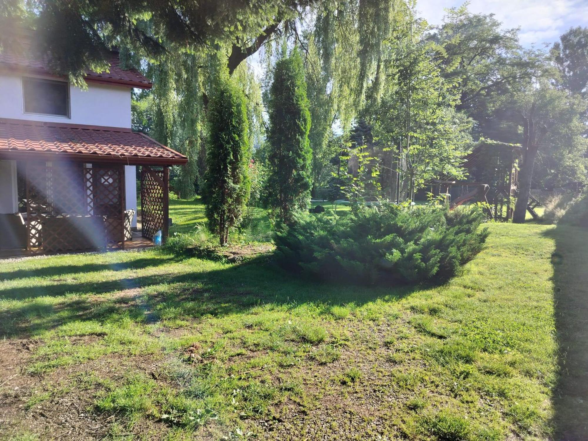 Pension Agnes Vişeu de Sus Exterior foto