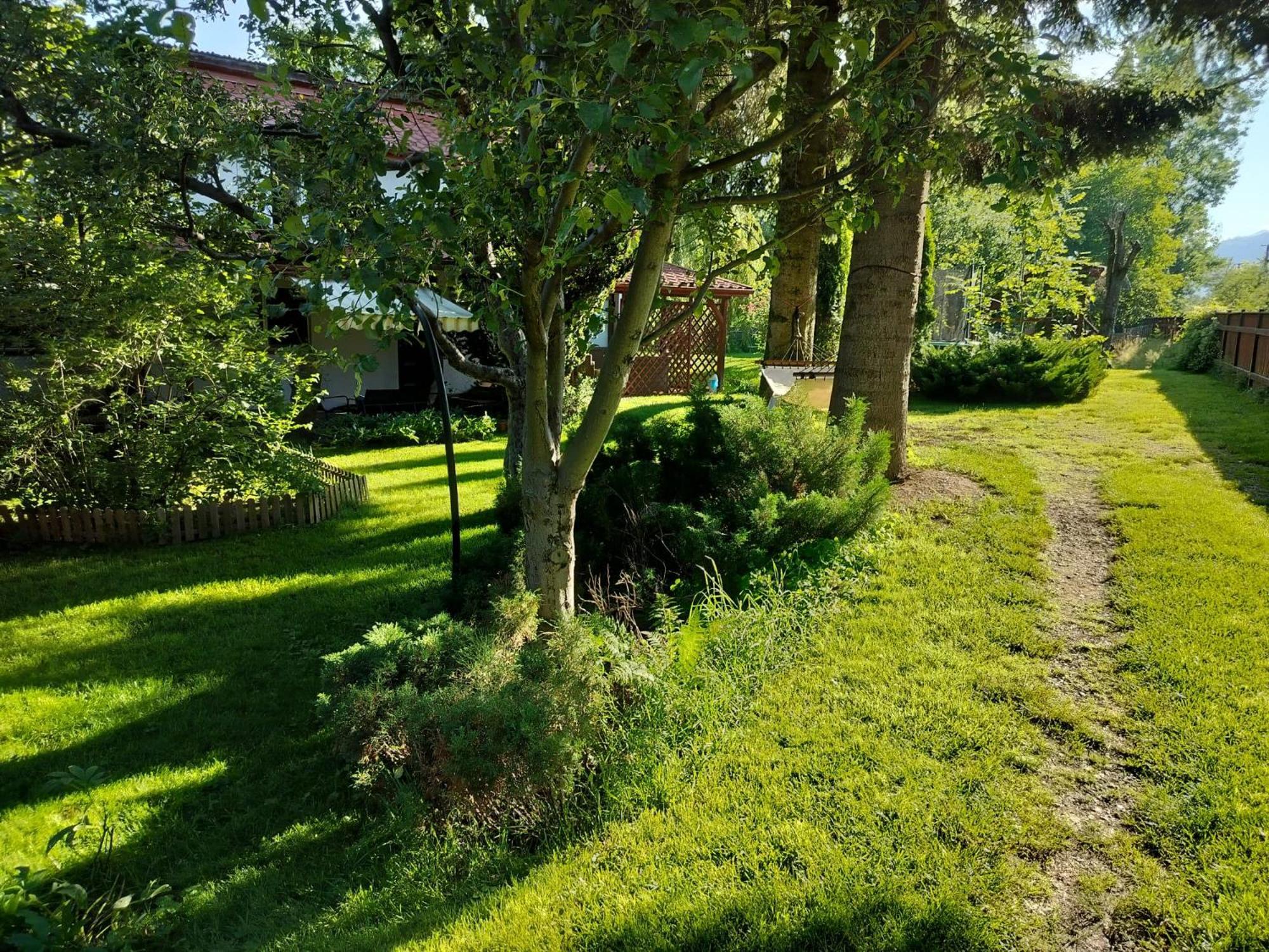 Pension Agnes Vişeu de Sus Exterior foto